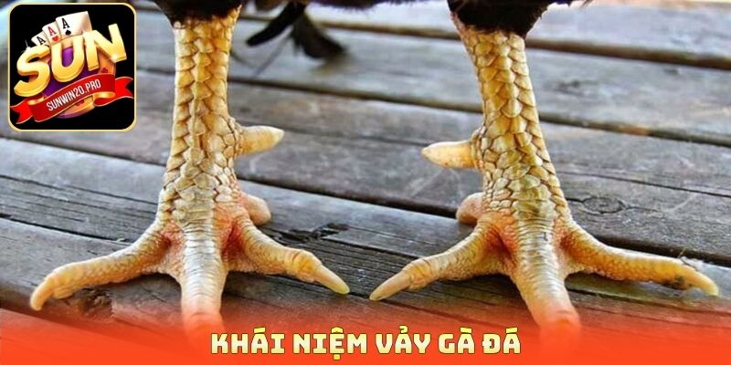 Khái niệm vảy gà đá