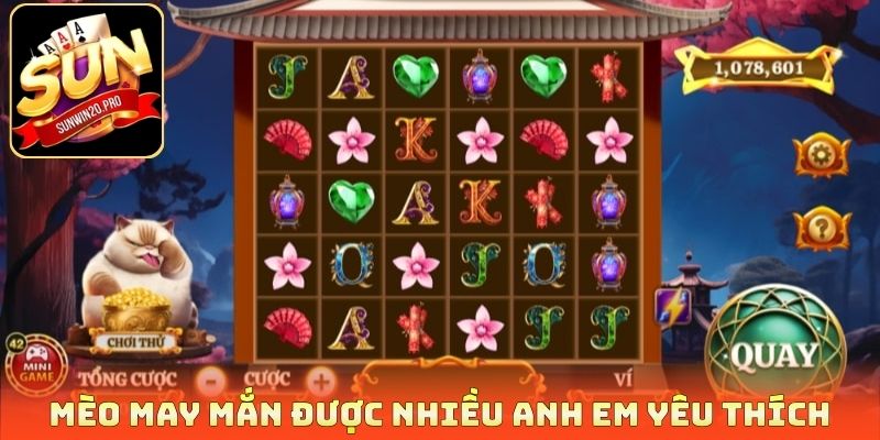Mèo may mắn được nhiều anh em yêu thích