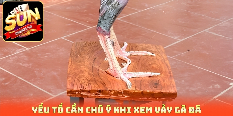 Yếu tố cần chú ý khi xem vảy gà đá